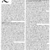 Annie Zaidi - D - la Repubblica